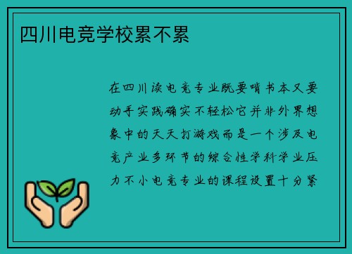 四川电竞学校累不累