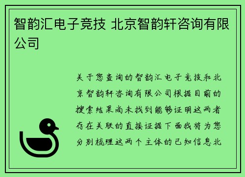智韵汇电子竞技 北京智韵轩咨询有限公司